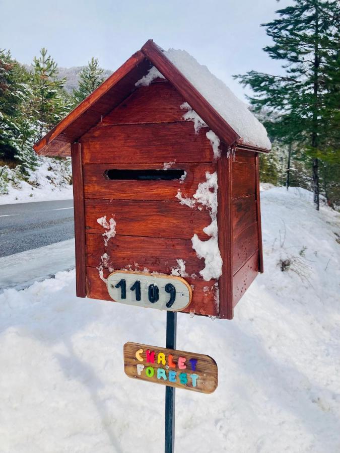 Saint-Apollinaire  Chalet Forest מראה חיצוני תמונה